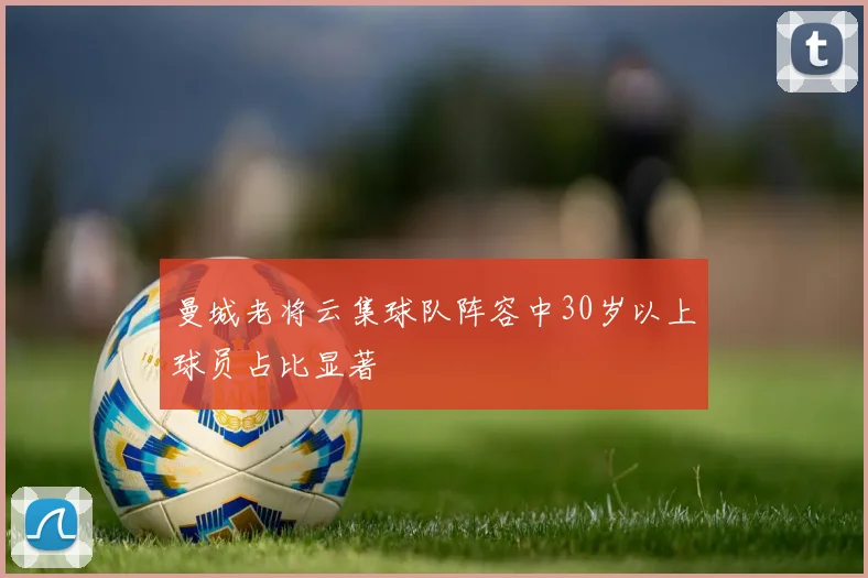 曼城老将云集球队阵容中30岁以上球员占比显著